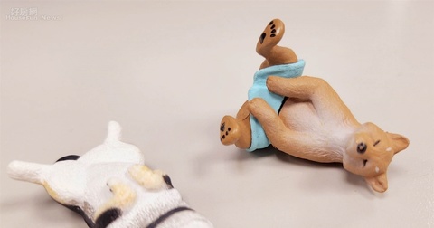 沒房子「想當躺平族也沒條件？」 過來人嘆：貧窮真的會世襲